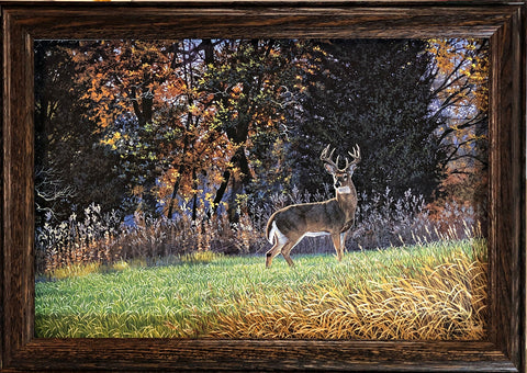 Al Agnew Standing Tall Whitetail Deer Buck Art Print-Framed 20.5 x 14.5