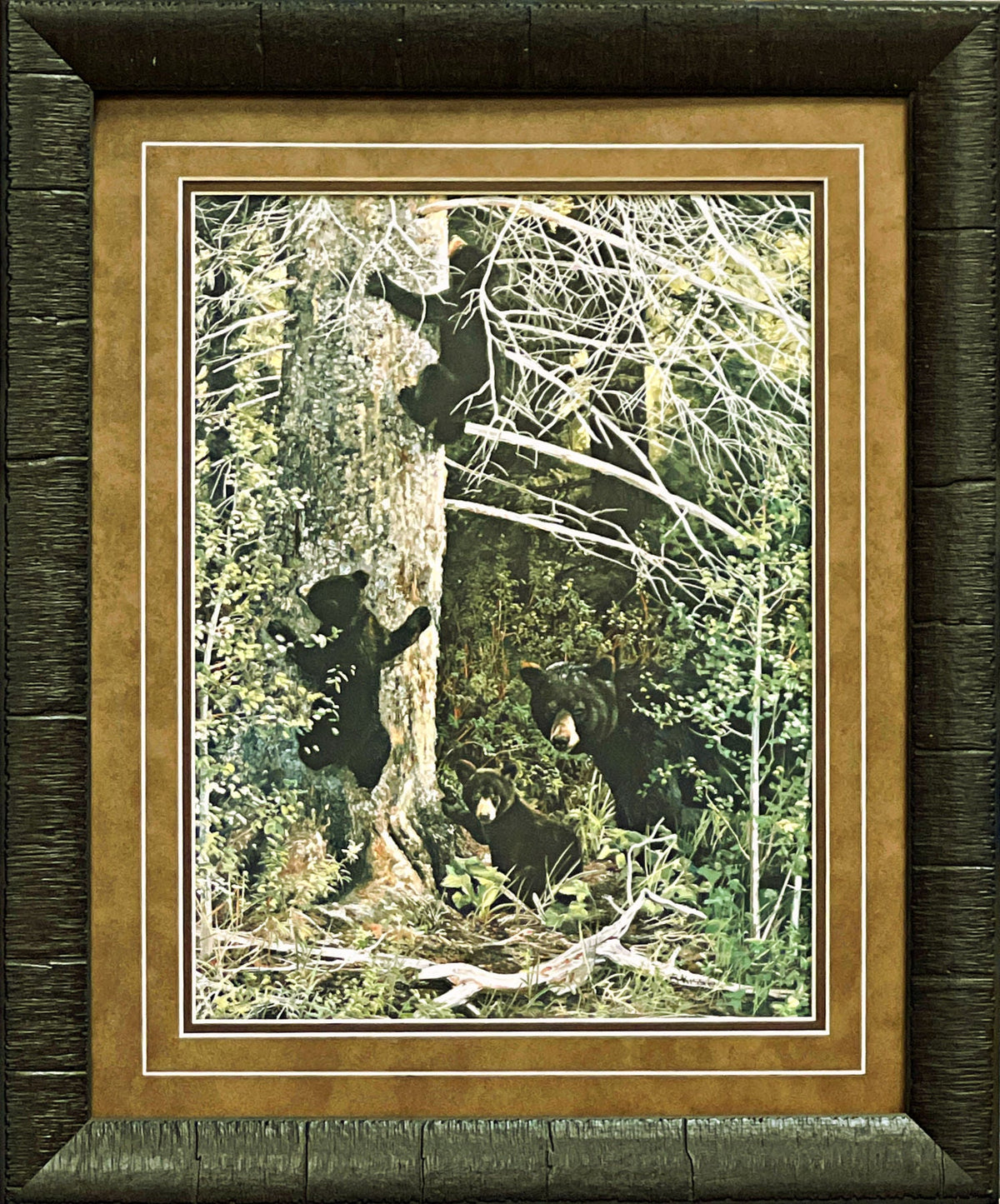 Andrew Kiss 'Family Gathering' Black Bear Wildlife Art Print, Double Matted, Oak Frame, 15 x 19 inches
