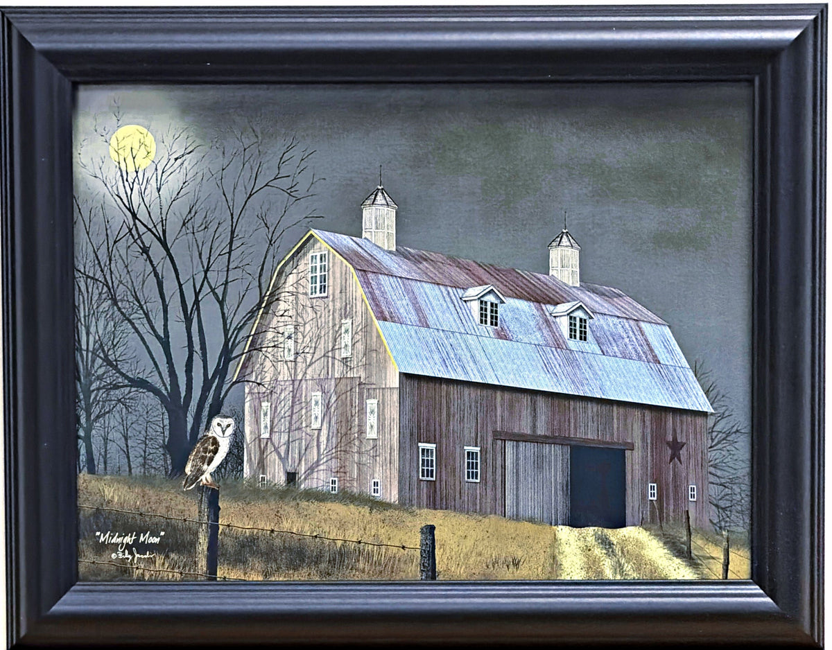 Billy Jacobs Midnight Moon Farm Owl Art Print-Framed Black-14 x 11
