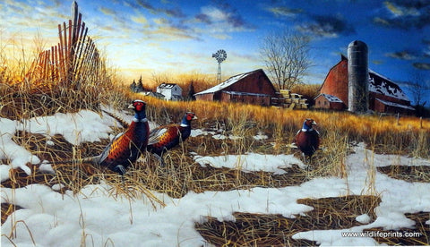 Jim Hansel Harvest Roosters - 18"x 10.5" Open Edition