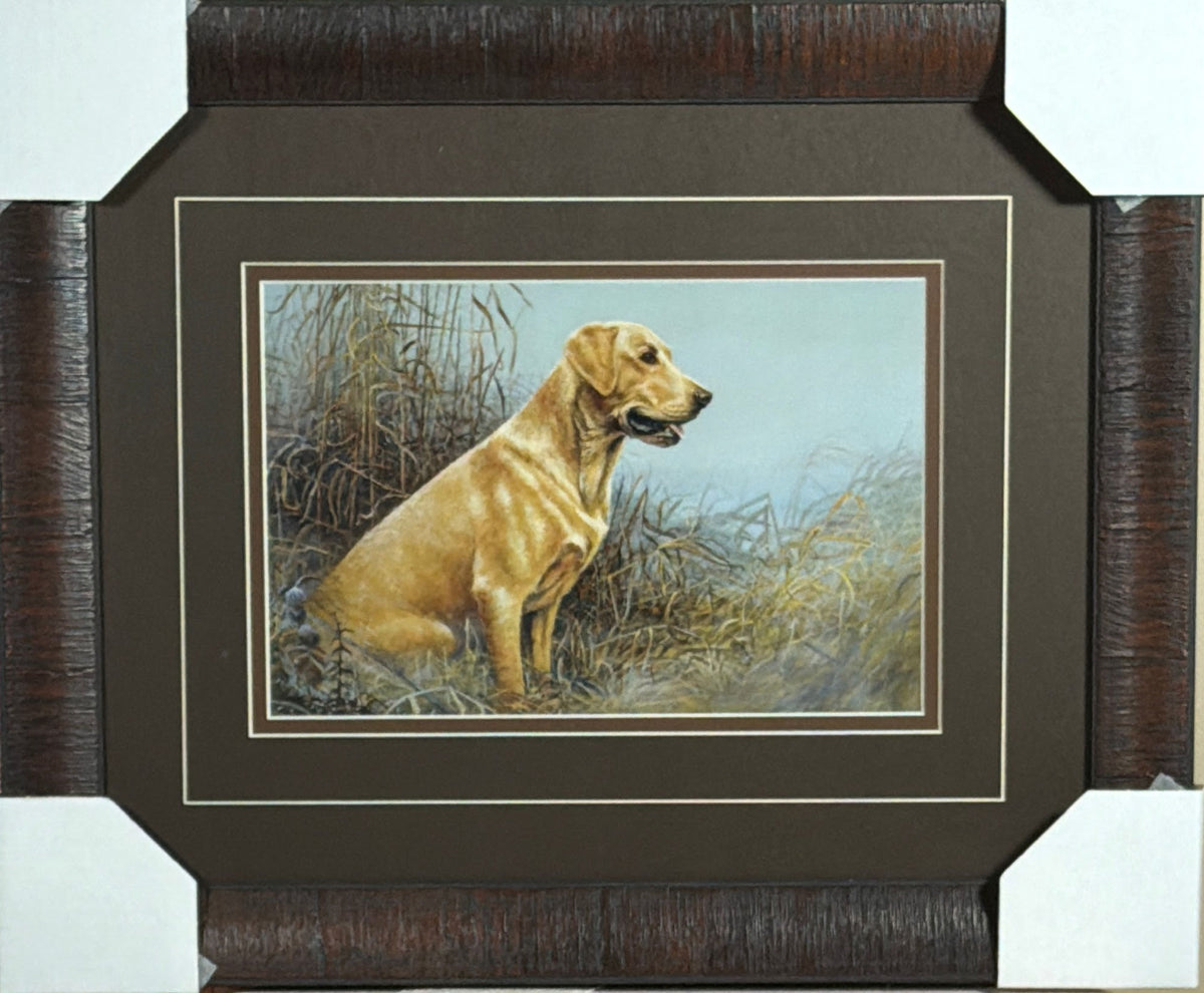 Scott Zoellick Charlie Yellow Lab Hunting Dog Framed 21 x 17