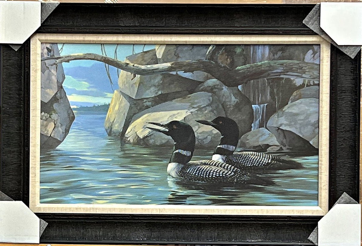 Mario Fernandez The Call of the North Loon Art Print-Framed 30.5 x 20