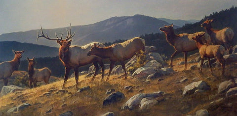 Nancy Glazier High Country Elk