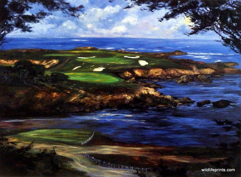 Michael Schofield 16th at Cypress Point