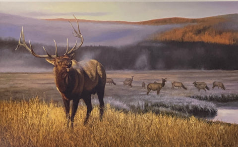 Brian Kuether Limited Edition Elk Print Morning Majesty (21x13.25)