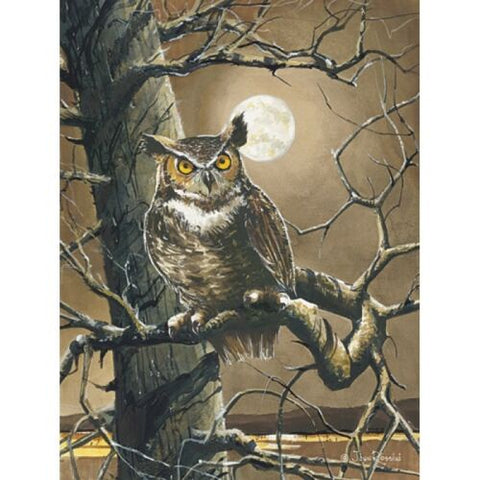 John Rossini The Sentinel Owl Art Print