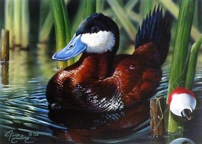 2002 Minnesota Duck Stamp Print by John Frieberg Signed and Numbered 9 x 7