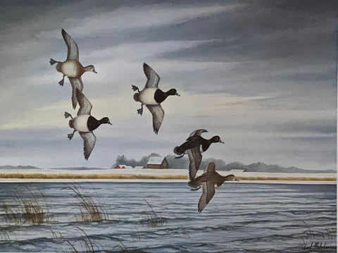 Carl Melichar Ringbills on the Back Lake S/N Duck Art Print-Image Size 15.5 x 11.5