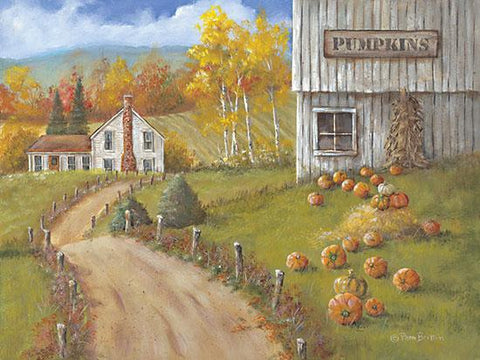 Britton, Harvest Pumpkin Farm Art Print-16 x 12