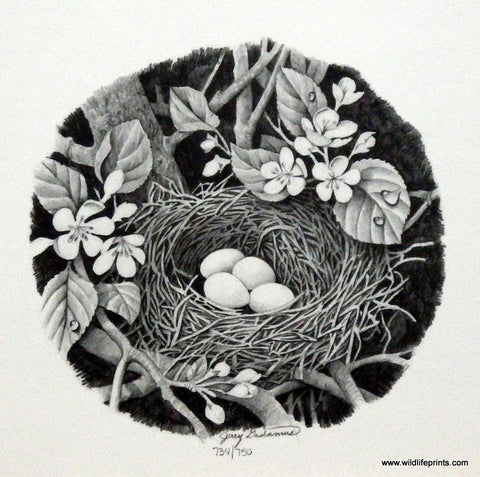 Jerry Gadamus Bird's Nest