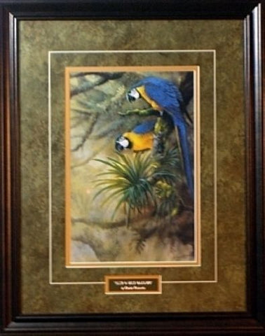 Gamini Ratnavira Framed Blue and Gold Macaws Print