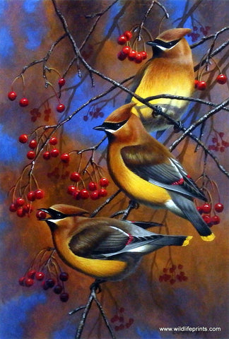Cynthie Fisher Bird Print Cedar Waxwings