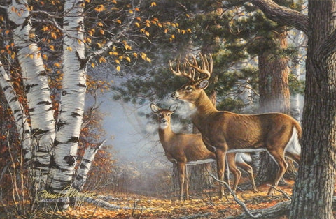 James Meger Cold Snap Buck and Doe Print-Signed