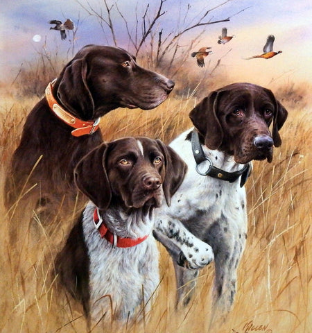 James Killen Great Hunting Dogs-German Shorthair SN AP 18 X 20