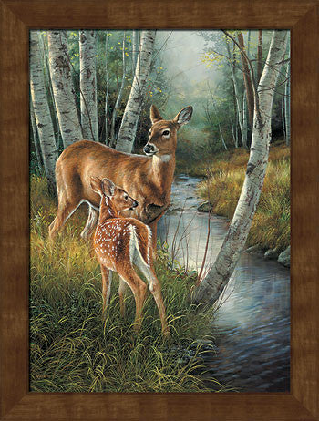 Rosemary Millette Birch Creek-Framed