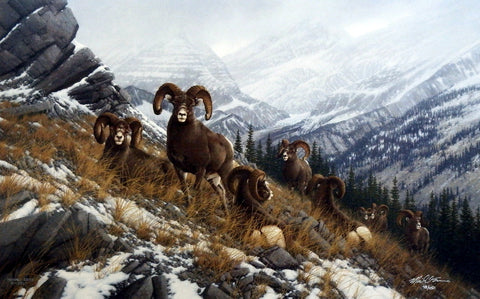 Michael Sieve Glacier Kings- Bighorn Sheep