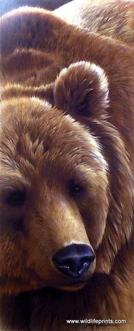 Jerry Gadamus Grizzly Bear