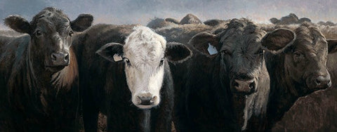 Charles Freitag Here's the Beef Angus Cattle Art Print