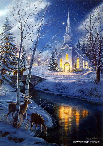 James Meger Holy Night