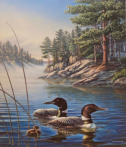 James Meger First light Common Loon S/N Art Print 17.5 x 24.5