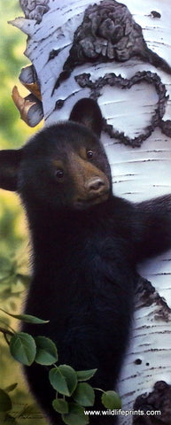 Jerry Gadamus Black Bear Cub on Birch Tree