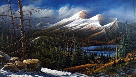 Terry Redlin Master Of The Valley