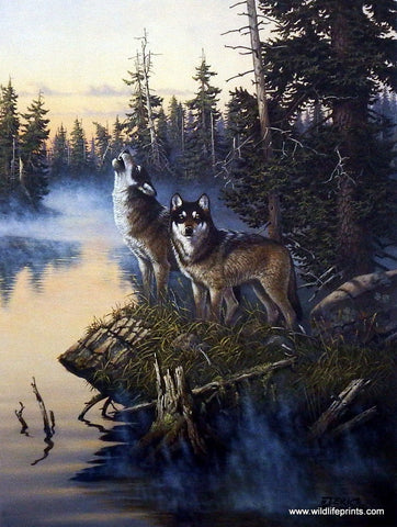 Derk Hansen Nature's Medley-Wolves