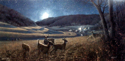 Michael Sieve Night Moves- Whitetail Deer
