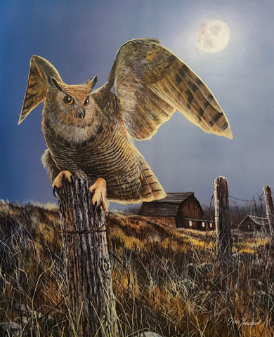 Jim Hansel Night Owl Farm Barn Art Print 17 x 21.5