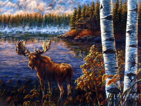 John McFaul North Country Moose
