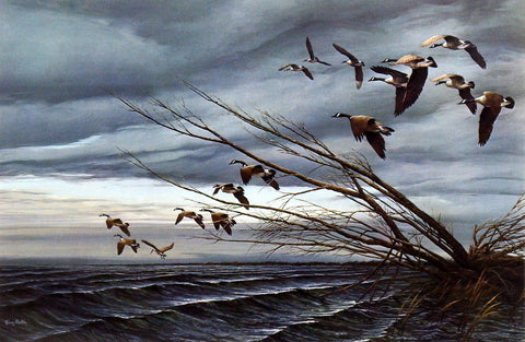 Terry Redlin Canadian Geese print OVER THE BLOWDOWN