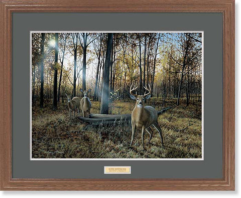Anthony Padgett Busted Deer Print Framed