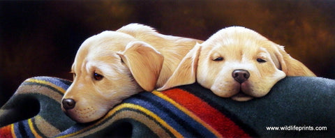 Jerry Gadamus Pendleton Yellow Pups