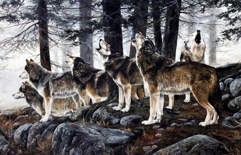 Andrew Kiss Wolf Pack Art Print Primal Song