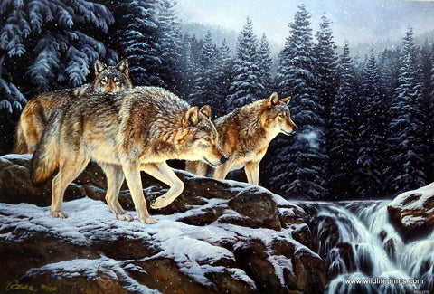 Rosemary Millette Spirit of the Wild- Wolf