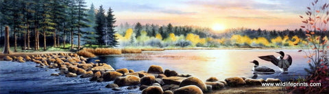 Jerry Raedeke Stepping Stones- Mississippi Headwaters Itasca