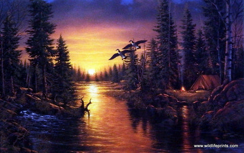 Derk Hansen print Canadian geese at sunset