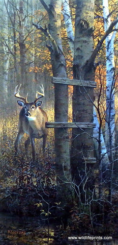 Don Kloetzke Whitetail Deer Buck Print