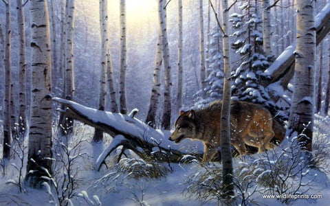 Derk Hansen Winter Wolf Art Print