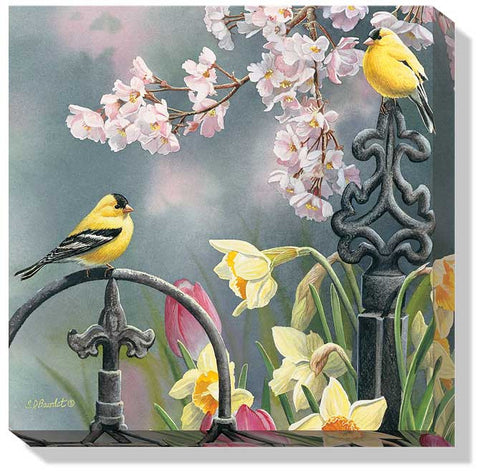 Susan Bourdet Victorian Seasons- Spring Goldfinches