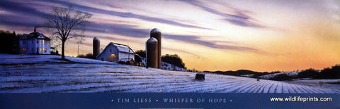 Tim Liess Whisper of Hope