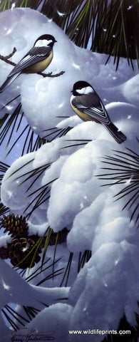 Jerry Gadamus Winter Chickadee