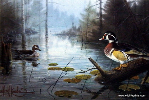 Les Kouba Wood Duck Pond