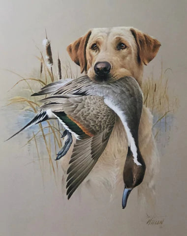 James Killen Yellow Labrador Duck Hunting Art Print 14.5 x 18.25