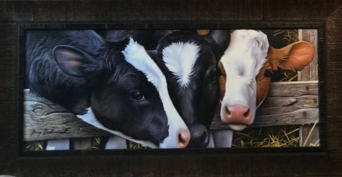 Jerry Gadamus Dairy Queens-Framed