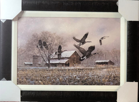 James Killen Goose Music Canadian Honker Canvas Art Print-Framed