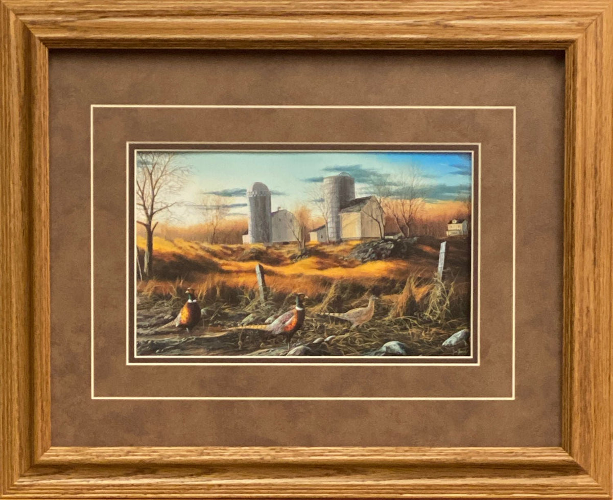 Jim Hansel Fenceline Ringnecks- Framed