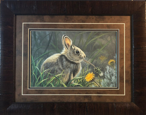 Paul Krapf Spring Cottontail Rabbit Art Print-Framed 19 x 15