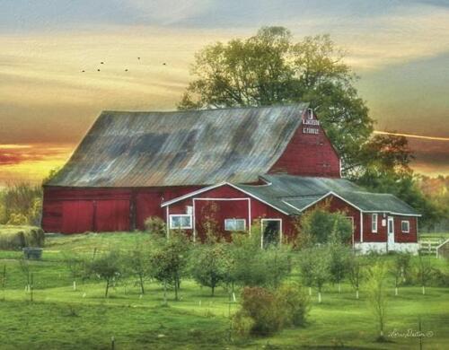 Lori Deiter Jackson Orchard Apple Tree Art Print 18 x 12