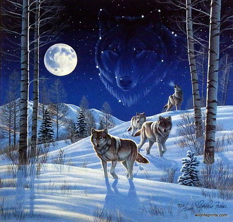 Cynthie Fisher timber wolf picture MOONLIGHT GUARDIANS